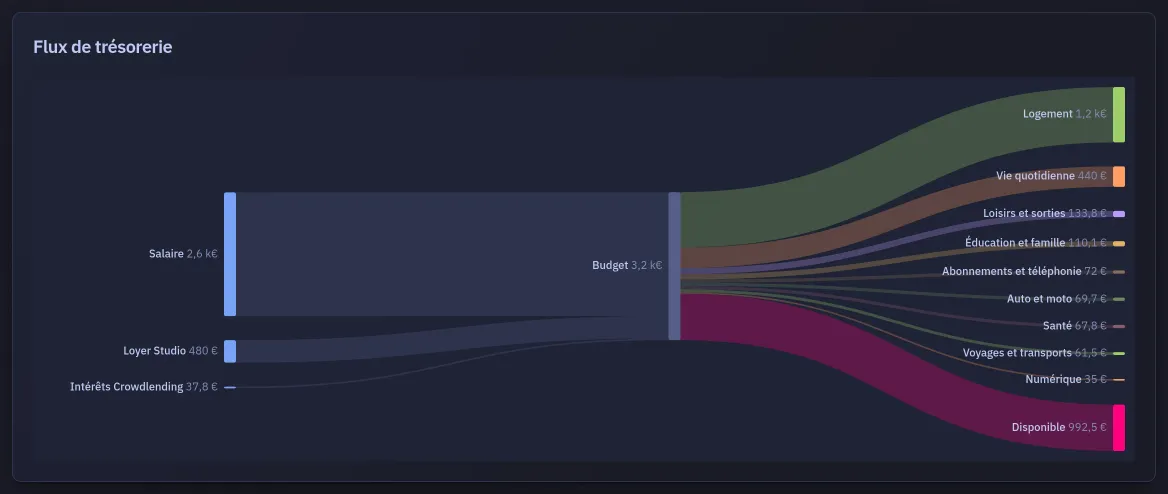 Le diagramme des flux : les sources de revenus, à gauche, se répartissent entre les catégories de dépenses, à droite, et ce qui reste forme une branche à part.